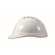 MSA V-Gard500 PVC吸汗带PE安全帽 10146548 白色